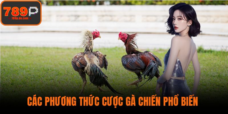 Các phương thức cược gà chiến phổ biến 